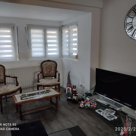 Au Bon Vieux Port Maison De Vacances Alsacienne A 10Mn De Ribeauville, Riquewihr Et Kaysersberg سليستا المظهر الخارجي الصورة