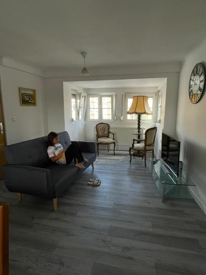 Au Bon Vieux Port Maison De Vacances Alsacienne A 10Mn De Ribeauville, Riquewihr Et Kaysersberg سليستا المظهر الخارجي الصورة