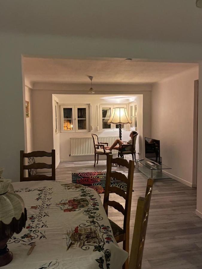 Au Bon Vieux Port Maison De Vacances Alsacienne A 10Mn De Ribeauville, Riquewihr Et Kaysersberg سليستا المظهر الخارجي الصورة