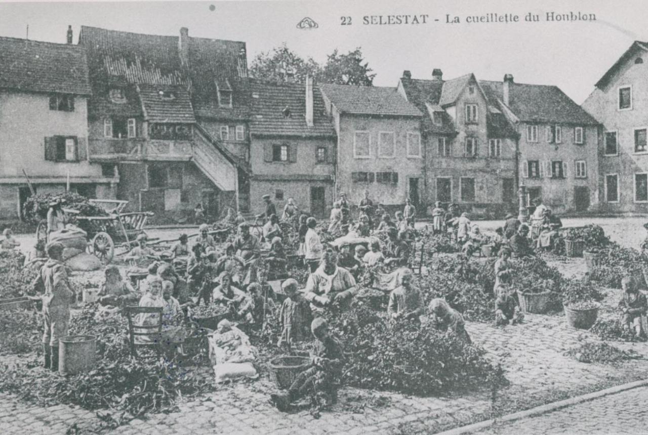 Au Bon Vieux Port Maison De Vacances Alsacienne A 10Mn De Ribeauville, Riquewihr Et Kaysersberg سليستا المظهر الخارجي الصورة