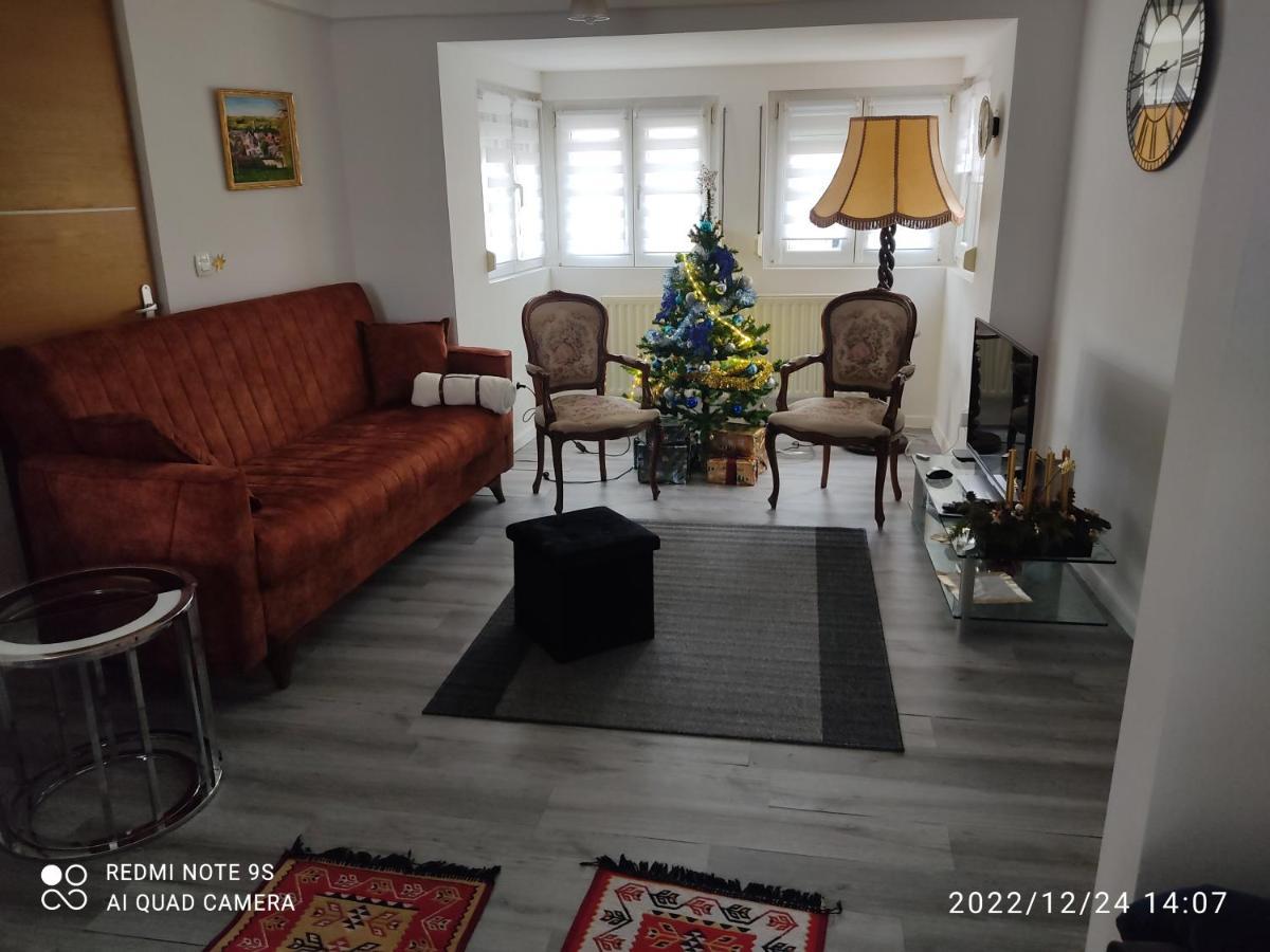Au Bon Vieux Port Maison De Vacances Alsacienne A 10Mn De Ribeauville, Riquewihr Et Kaysersberg سليستا المظهر الخارجي الصورة
